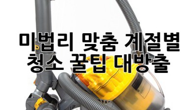 ✨미법리 맞춤✨ 계절별 청소 꿀팁🍯 대방출! 🏡